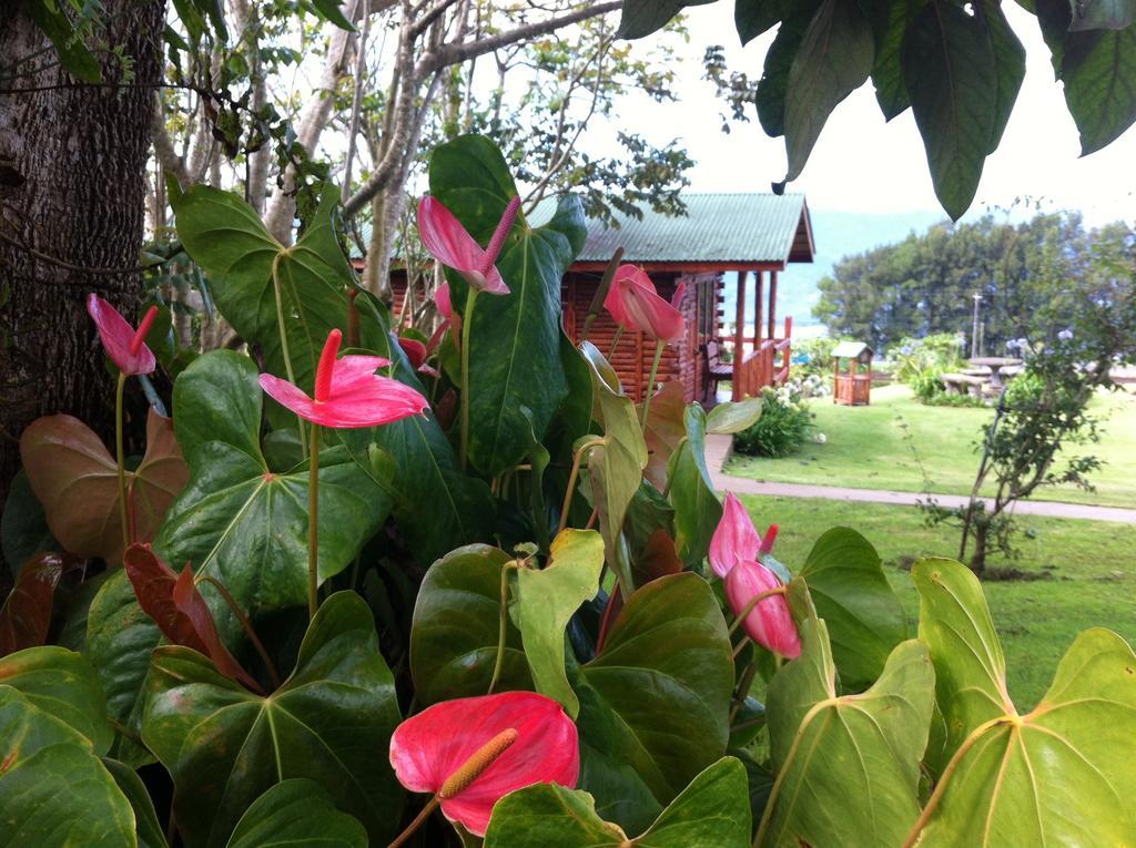 Grandpas Hotel & Restaurante Cartago Exterior photo
